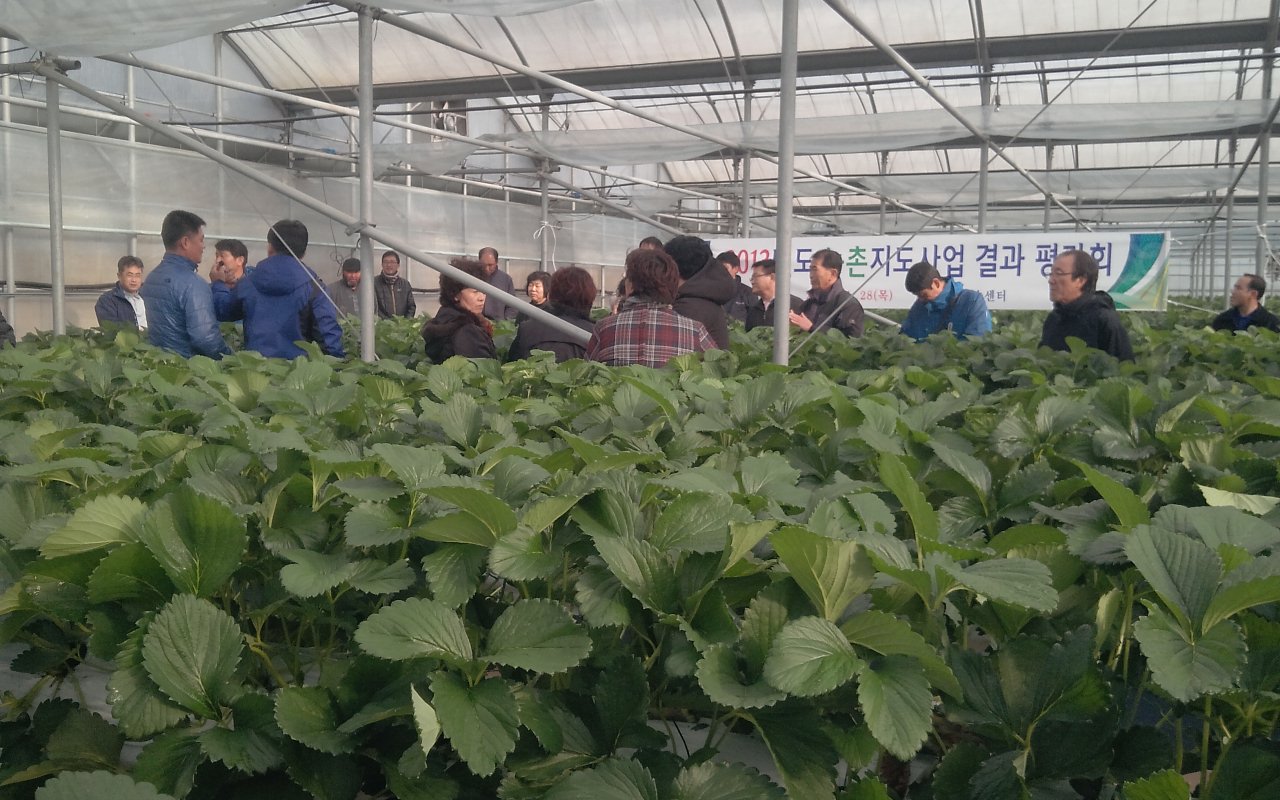 2013년 농촌지도사업 결과평가회 개최